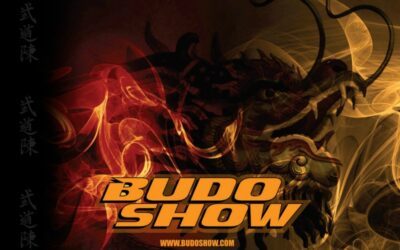 Budoshow 2015 – světové prvenství